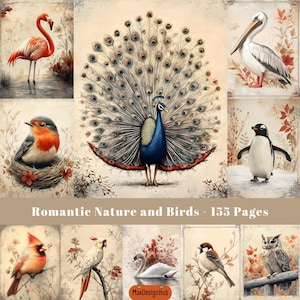 Vögel Seiten , Beige Junk Journal, Scrapbook Papier, Digital Papier, Natur Illustration, druckbares Bild, Papiermodelle, digitaler Download