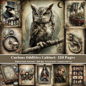 May include: A digital junk journal collection titled Curious Oddities Cabinet, 120 pages, 8.5x11 inches, 300 dpi. Features illustrations of a plague doctor, owl, lizard, skull, compass, butterfly, bat, and a child with a magnifying glass.
