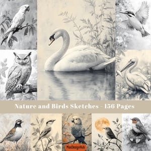 Pages de croquis d'oiseaux, carnet neutre, Papier de scrapbooking, Papier numérique, Illustration de la nature, Image imprimable, Créations créatives en papier