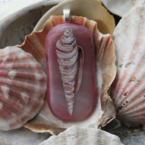 Beautiful sea shell - fused glass pendant