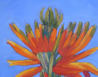 Indian Paintbrush in Bloom/Oil Paint on Board/11 x 14 Inches/Signed Janet Ramble/Southwest Painting