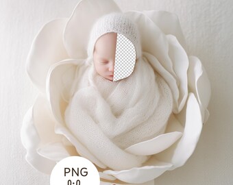 Newborn Face Insert Template, White Floral Baby Nest Backdrop, Flower Prop Digital Background, PSD Composite for Newborn Photography