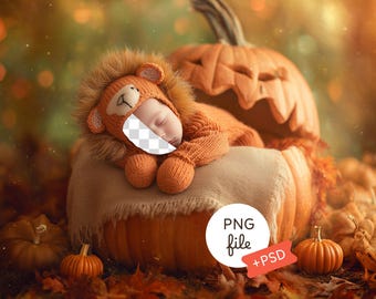 Autumn Baby Digital Backdrop, Face Insert Template, Newborn Fall Photography Prop, Pumpkin Photo Overlay, Rustic Harvest Background PSD