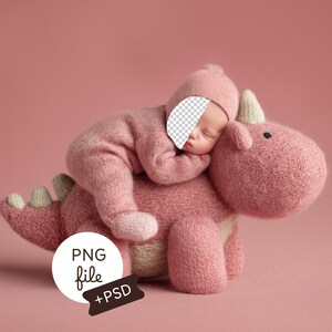 Pink Dinosaur Newborn Face Inset Backdrop, Baby Background, Digital Download, PSD Composite for Photography Prop