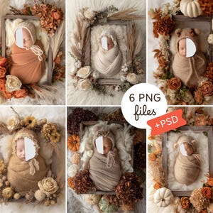 May include: Six newborn photography digital backdrops. Each features a baby wrapped in a blanket and wearing a hat, surrounded by fall-themed floral arrangements and pumpkins. The images are framed and set on a white fur-like surface.