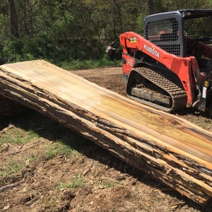 More wood slab inventory image 8