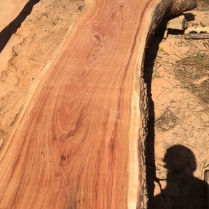 More wood slab inventory image 9