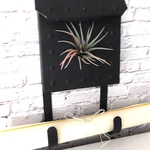 May include: Black metal wall planter with a hinged top, riveted details, and a small air plant with pink-tipped leaves. The planter is mounted on a white brick wall and includes a scroll holder.