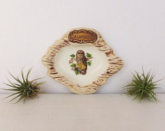 Vintage Owl Ashtray California Souvenir Ashtray Vtg 1960's Ashtray Brown Boho 1970's Ashtray Treasure Craft Ceramic Faux Bois Retro Ashtray