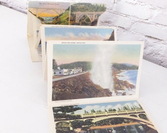 Oregon Souvenir Postcard Set Curt Teich and Company Vintage 1930's Americana Pacific Northwest Roadtrip US 101 Highway Accordion Pictures