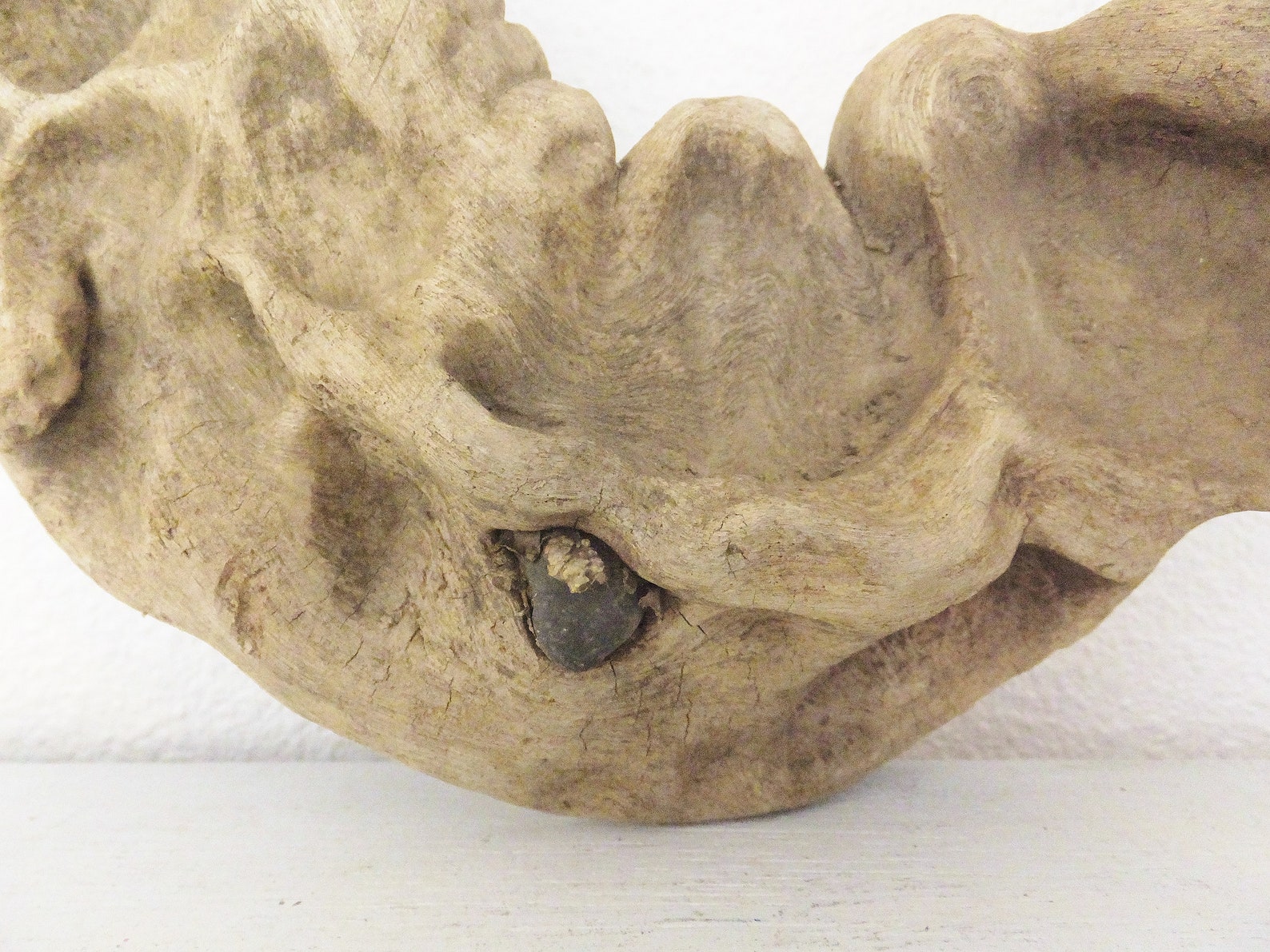 Natural Sculptural Snake Wood Cottonwood Root Branch Dragon Etsy