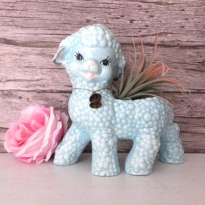May include: A light blue ceramic lamb planter with a textured, bubbly surface. The lamb features painted black eyes with long lashes, a pink nose, and a thin cord necklace with two small dark circular charms. An air plant sits in the back.