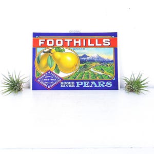 Vtg Ad Pear Crate Label Foothills Rogue River Brand Pears Oregon California Kitchen Farmhouse Decor Original Print Pear Art Fruit Label