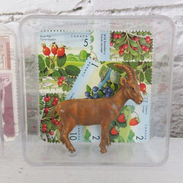 Shadow Box Mini Etsy