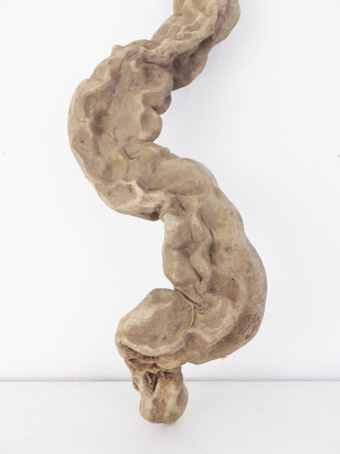 Natural Sculptural Snake Wood Cottonwood Root Branch Dragon Etsy