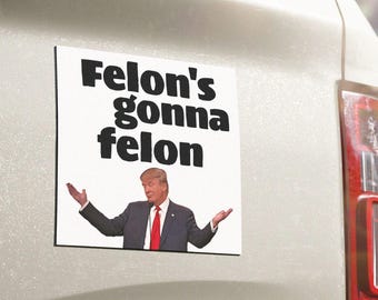 Anti-Trump Car Magnet: Political Decal, Trump Breaking the Law, Felons Gonna Felon, white house Fraud