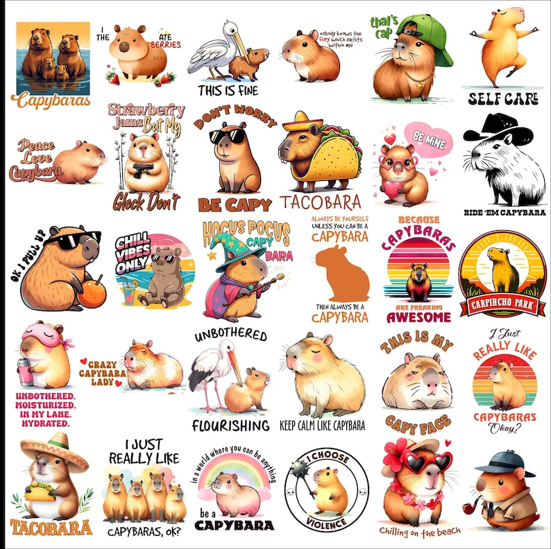 105 capybara designs DTF, DTG, Sublimation in PNG - Etsy España