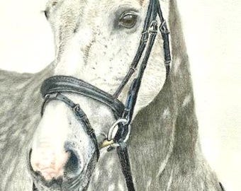 リアルな馬の鉛筆画 カスタム馬の鉛筆画 - パーソナライズされた馬のイラスト。 - Etsy 日本