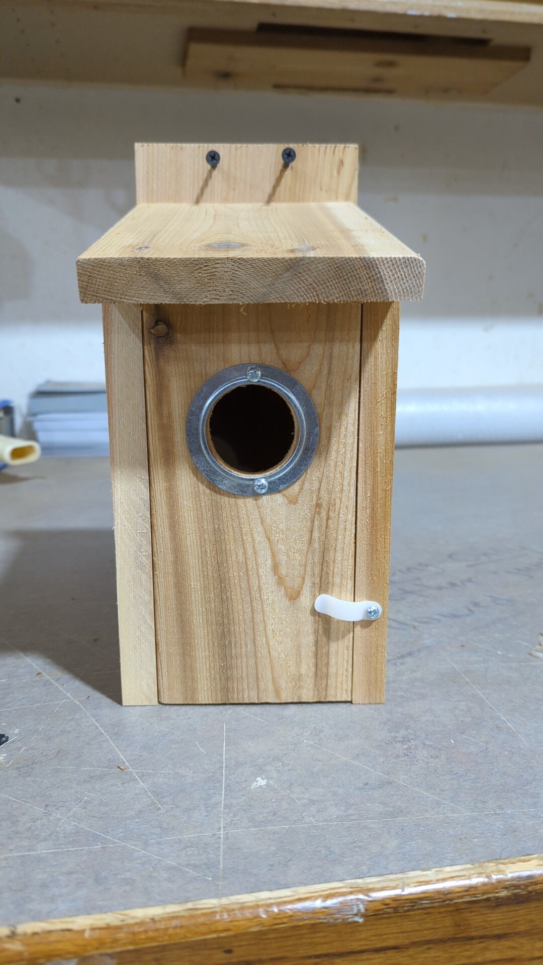 Metal Hole Protector Bluebird House With EZ Open Front - Etsy