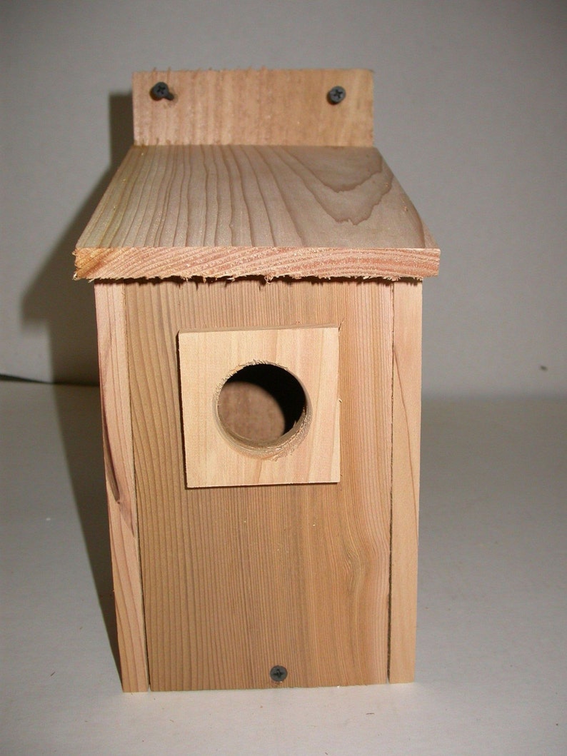 12 CEDAR BLUEBIRD BIRDHOUSES .. free shipping... Bild 2