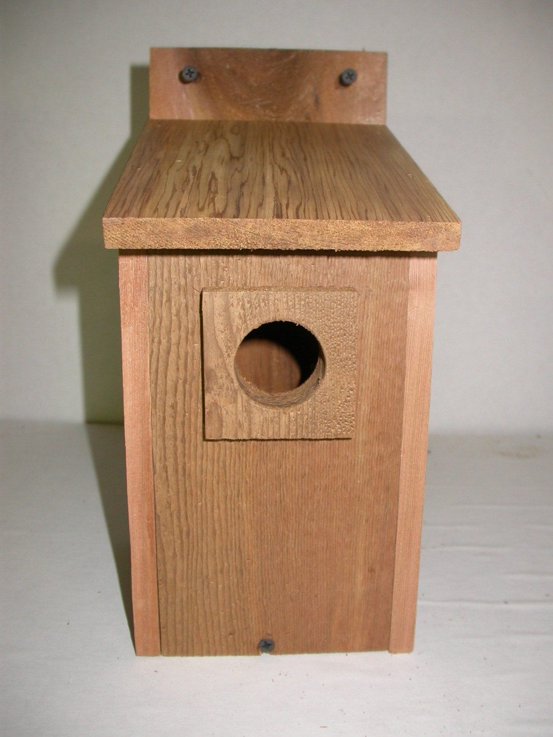 Bluebird Bird House - Etsy