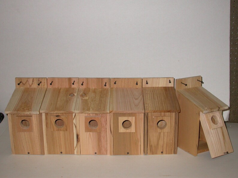 12 CEDAR BLUEBIRD BIRDHOUSES .. free shipping... image 1