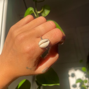 May include: A silver ring with an oval cowrie shell. The shell is cream-coloured with a central brown stripe. The ring is set against a backdrop of green leaves and sunlight.