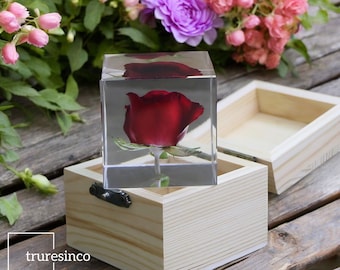 Positive Flower Rose - Positieve Bloem Roos 13cm