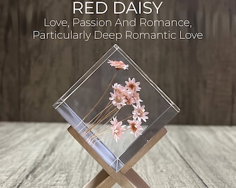 Red Daisy Flower Epoxy Resin Cube - Meaningful Girlfriend Home Decor Art | Romantic Bedroom Night Light Decoration Gift For Her Girl