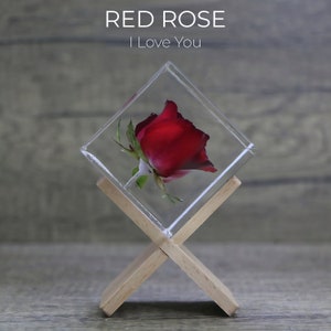 Red Rose Flower Epoxy Resin Cube - Roses Meaningful Girlfriend Home Decor Art | Romantic Bedroom Night Light Decoration Gift For Her Girl