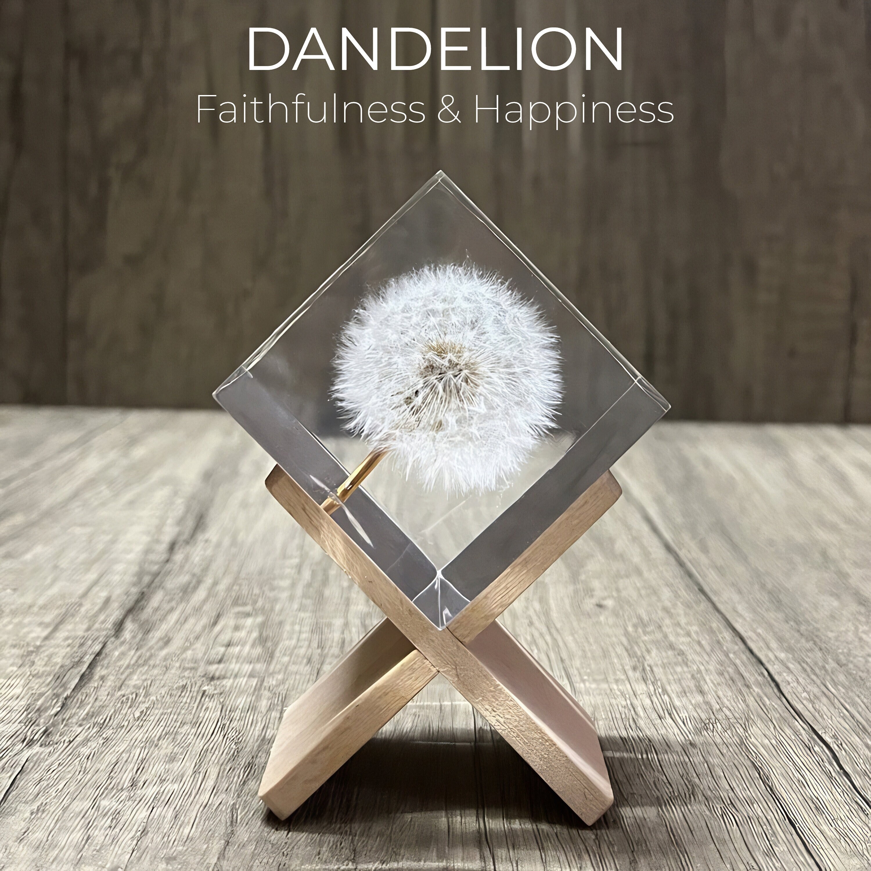Luojuny Eeuwige Paardebloem Bloem Rose Bloem Glas Cover Houten Basis Bewaarde Real Infinity Glass DomeWomen Gifts, Verjaardagscadeaus, Valentijnsdag of Bruiloft Decoratie, Verjaardag f