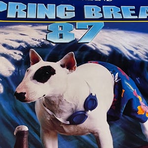 1987 Spuds MacKenzie Budweiser Poster: Vintage Beer Ad Art