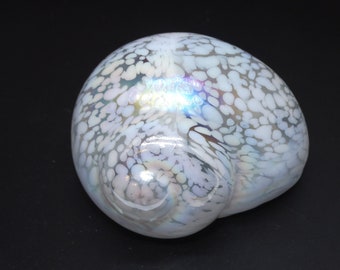 Vintage Gorgeous Speckled Iridescent Seashell Glass Paperweight, Aurora Borealis Colors, Specked Spots, Nautical Paperweight