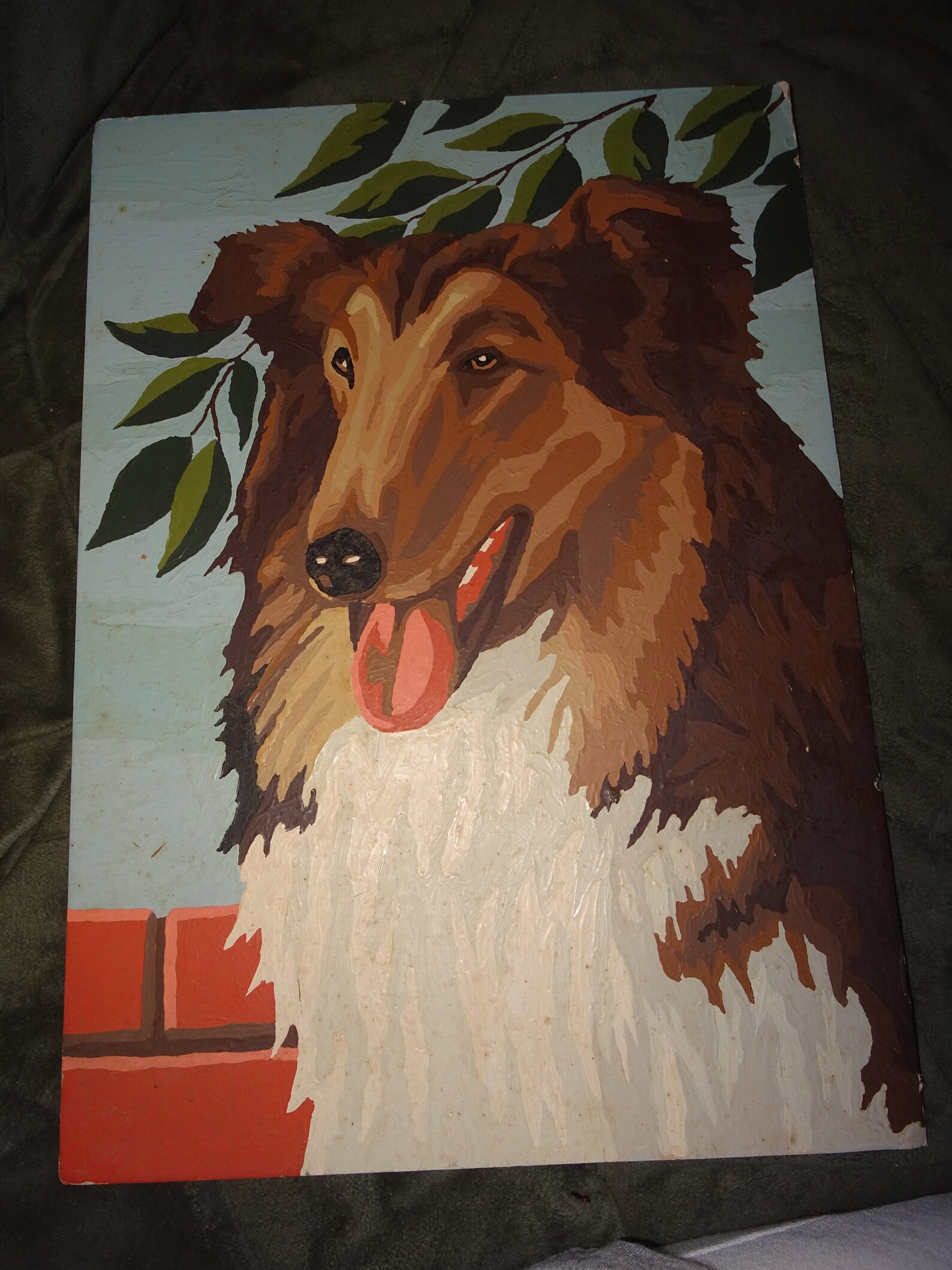 Beautiful Boarder Collie Paint By Number Lassie Man's Etsy