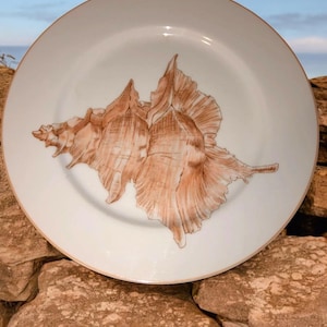 Fitz and Floyd Cogquille Sea Shell Plate, Beach Cottage Table Decor, Nautical Tableware, MCMLXXVI Japan 7H