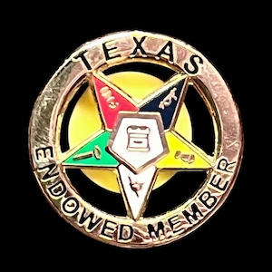 Vintage Order Of Eastern Star Gold Tone Lapel Pin: TEXAS Endowed Member