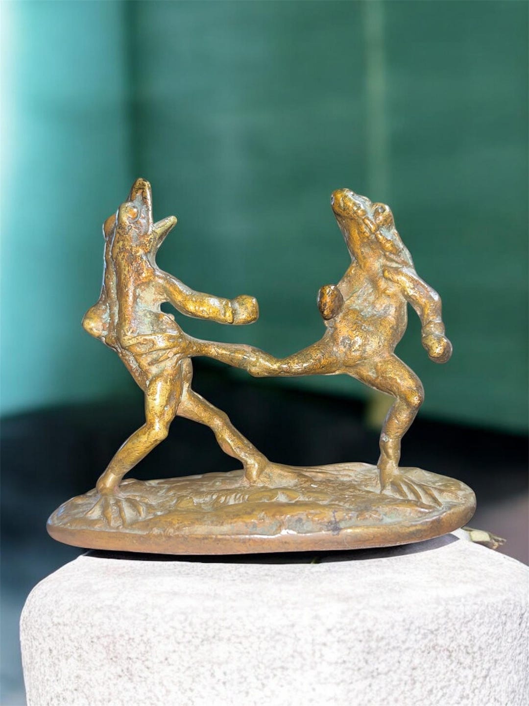 Boxing Frog The