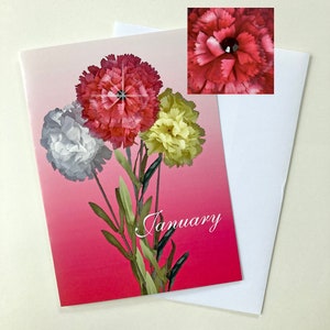 January Birthstone Card, January Birthday Card, January Flower Card, Carnation Birthday Card, Garnet Birthday Card, Birth Month Card image 1