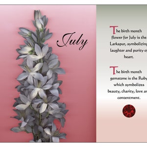 Birth Month Birthstone July Birthday Art Poster 8x10 Digital Download