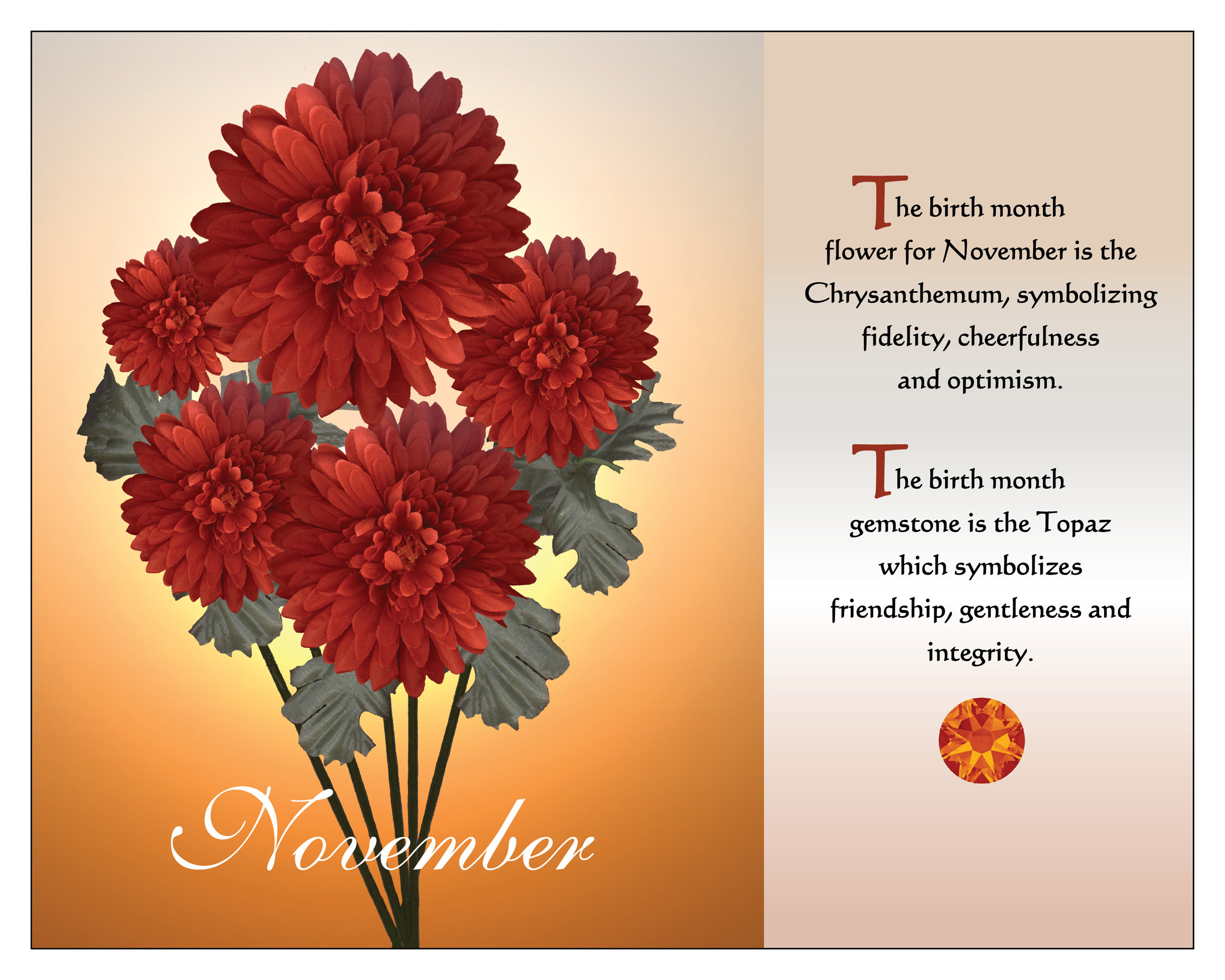 November Birthstone Roses Birth Month Birthstone November Birthday Art Poster 8x10 - Etsy Hong Kong