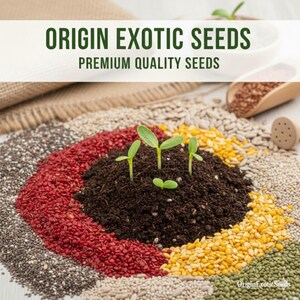 Puede incluir: Imagen de una variedad de semillas dispuestas en un patr&oacute;n circular, con un peque&ntilde;o mont&iacute;culo de tierra en el centro donde brotan plantas j&oacute;venes. El texto "ORIGIN EXOTIC SEEDS" y "PREMIUM QUALITY SEEDS" es visible. Toma cercana.