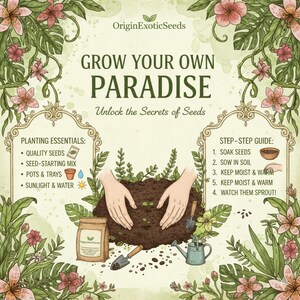 Puede incluir: Gu&iacute;a ilustrada para la jardiner&iacute;a, con el texto "Grow Your Own Paradise". La imagen presenta los elementos esenciales para la plantaci&oacute;n y una gu&iacute;a paso a paso. Incluye una bolsa de semillas, tierra y herramientas de jardiner&iacute;a, rodeado de ilustraciones florales.