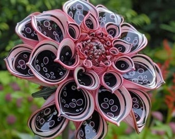 希少な多年生ダリアの種子 - 鮮やかな庭の花