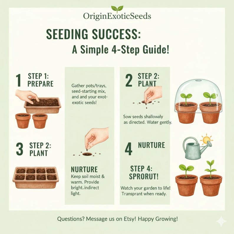 Puede incluir: Una gu&iacute;a titulada "SEEDING SUCCESS: A Simple 4-Step Guide!" muestra los pasos para plantar semillas. La gu&iacute;a incluye ilustraciones de macetas, bandejas y pl&aacute;ntulas. El texto incluye instrucciones sobre la preparaci&oacute;n, la plantaci&oacute;n, el cuidado y el crecimiento del jard&iacute;n.