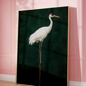 Puede incluir: Una grulla blanca con la cabeza roja se para sobre una pierna contra un fondo verde oscuro. La grulla está en una impresión enmarcada.