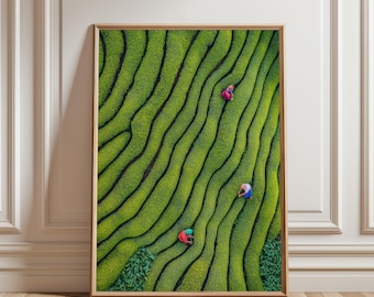 Vietnam Tea Field Print, Green Landscape Illustration (Digital Download)
