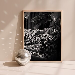May include: Black and white framed print featuring a leopard resting on a patterned sofa. A disco ball sits in front of the framed print. The print is in a wooden frame.