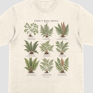 May include: A cream-coloured short-sleeve t-shirt featuring a botanical print titled Ferns of North America Plate 1. The graphic displays nine distinct green fern illustrations arranged in a grid, each labelled with its common and scientific name.