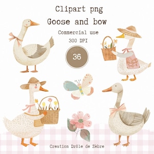 Aquarelle oie Clipart - téléchargement animaux mignons- téléchargement immédiat - oie - illustration - clpart -png- oie à imprimer