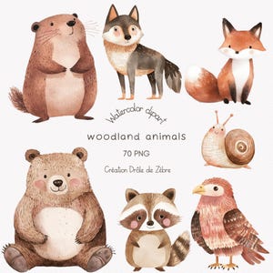 Clipart animaux, décor de pépinière, clipart aquarelle animaux mignon, clipart animaux, clipart forêt, clipart anniversaire, scrapbooking